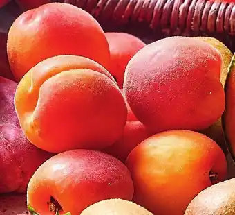 Colruyt Abricots offre