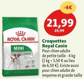 Maxi Zoo Royal canin croquettes offre