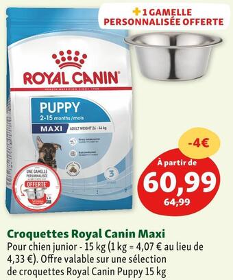Maxi Zoo Royal canin croquettes maxi offre