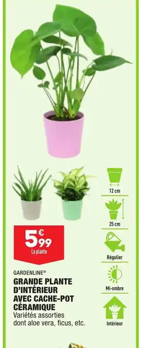 ALDI Grande Plante d'Intérieur Avec Cache-Pot Céramique offre