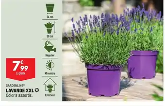 ALDI Lavande XXL offre