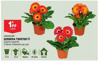 Gerbera Twister
