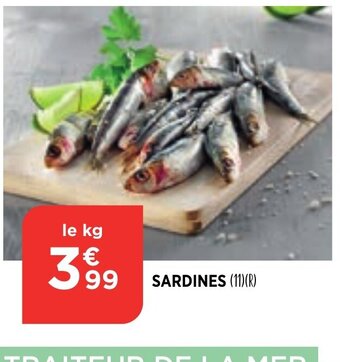 Sardines
