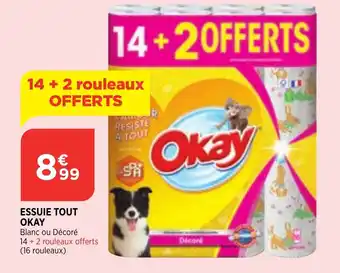 Bi1 Okay Essuie Tout offre
