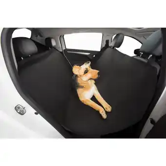 Norauto housse de protection auto pour chien sièges arrière norauto