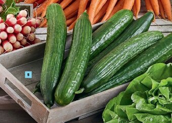Super U Concombre offre