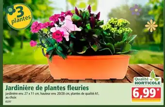 Norma Jardinière de plantes fleuries offre