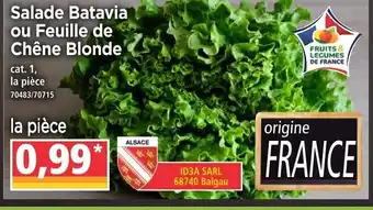 Norma Salade batavia ou feuille de chêne blonde offre