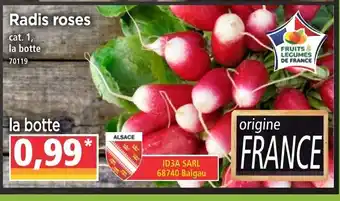 Radis roses