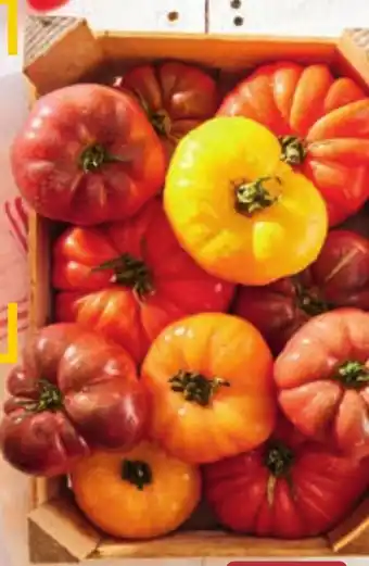Match Tomate Ancienne Côtelée de Pleine Terre offre
