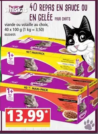 Norma 40 repas en sauce ou en gelée offre