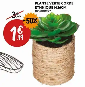 Maxi Bazar Plante verte corde ethnique H.16cm offre