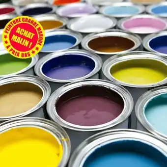 Peinture couleur grandes marques 2,5l