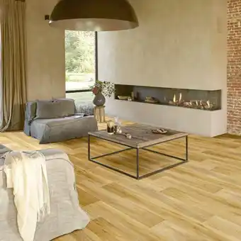 Décor Discount Sol pvc décor chêne naturel brut offre
