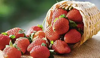 Casino Supermarchés Fraise offre