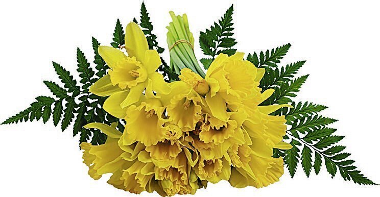 Promo Bouquet Jonquilles Crayon 2 Fougeres Chez Casino Supermarches