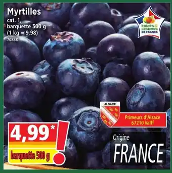Norma Myrtilles offre