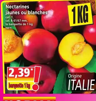 Norma Nectarines Jaunes Ou Blanches offre