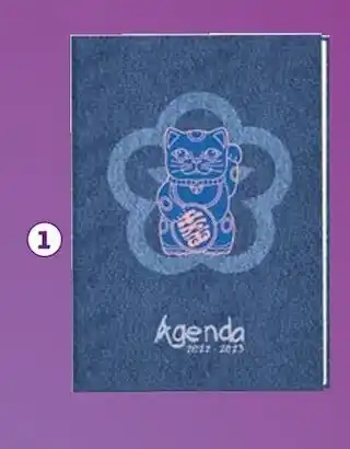 Auchan Agenda offre