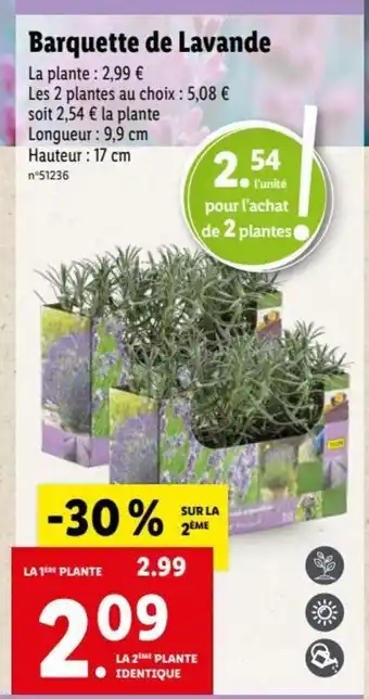 Lidl Barquette de Lavande offre