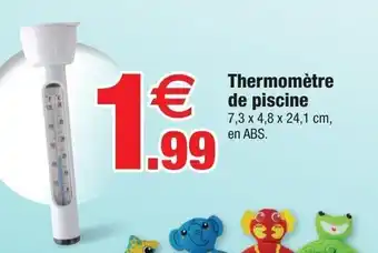 Bazarland Thermomètre de piscine offre