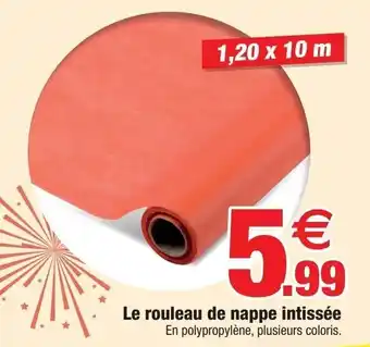 Le Rouleau de Nappe Intissée