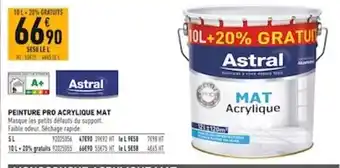 Peinture Pro Acrylique Mat