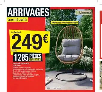 Brico Dépôt Fauteuil Suspendu "Kalmia" offre