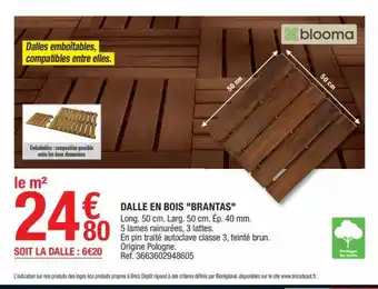 Brico Dépôt Dalle En Bois "Brantas" offre