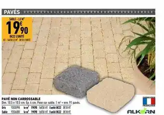Brico Cash Pavé Non Carrossable Alkern offre