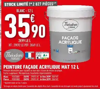 Brico Cash Peinture Façade Acrylique Mat 12l Théodore offre