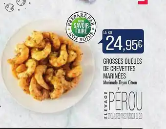 Match Grosses Queues De Crevettes Marinées offre