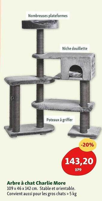 Maxi Zoo Arbre à Chat Charlie More offre