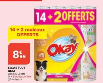 Bi1 Essuie Tout Okay offre