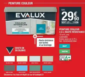 Brico Dépôt Peinture couleur 2,5 L haute résistance offre