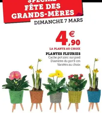 U Express Plantes Fleuries offre