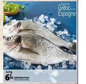 Dorade Royale
