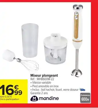 Carrefour Mandine Mixeur Plongeant offre