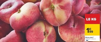 Carrefour Pêche plate offre