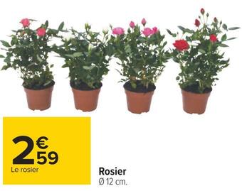 Carrefour Rosier offre