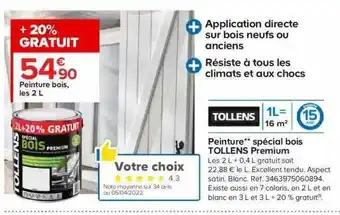 Castorama Peinture Bois Tollens Premium offre