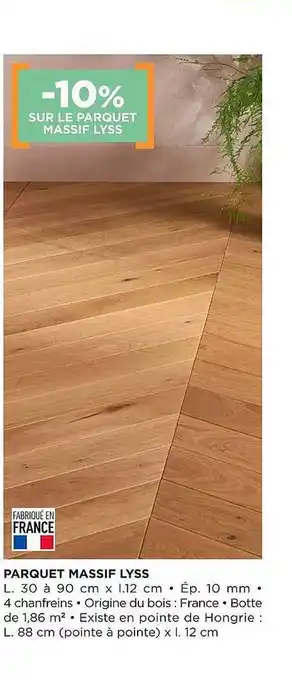 Parquet Massif Lyss