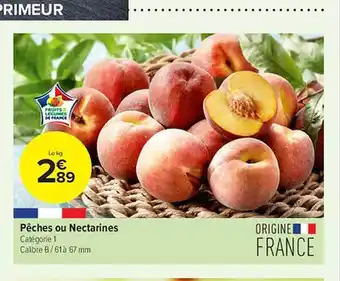Pêches Ou Nectarines