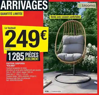 Brico Dépôt Fauteuil Suspendu offre