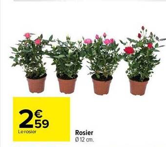 Carrefour Rosier offre