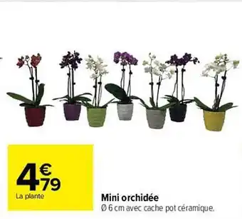 Carrefour Mini Orchidée offre