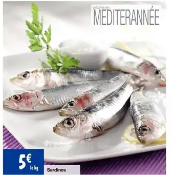 Sardines