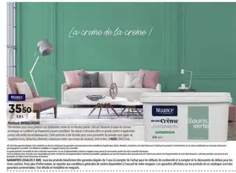 Peinture Monocreme Nuance