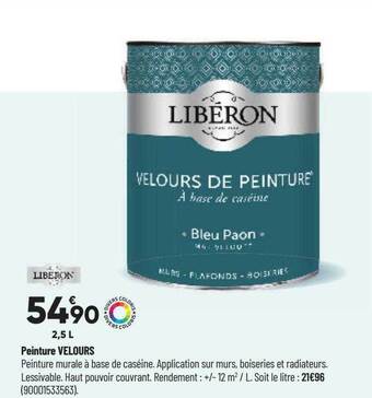 Bricorama Peinture Velours offre