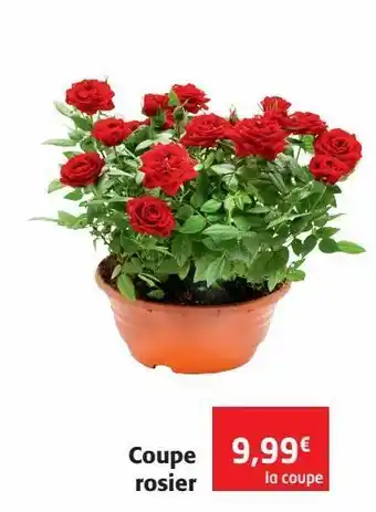 Colruyt Pot de fleurs offre